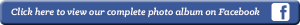 TyRex Graphic: Facebook Photo Album Button